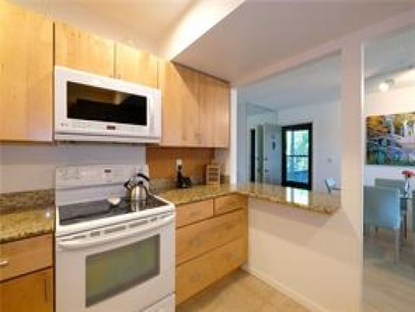 Sarasota Condo 975731