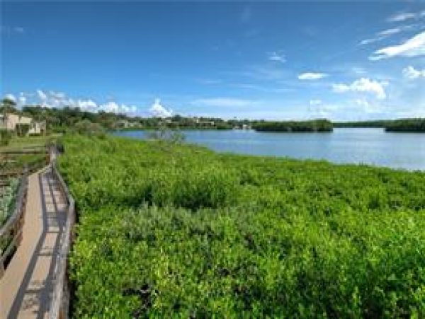 Sarasota Condo 975731