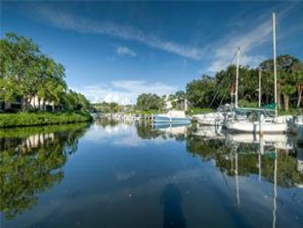Sarasota Condo 975731