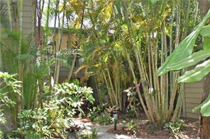 Sarasota Condo 975736