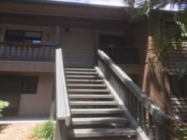 Sarasota Condo 975745