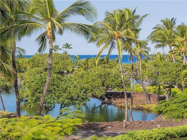 Kohala Coast Condo 975894