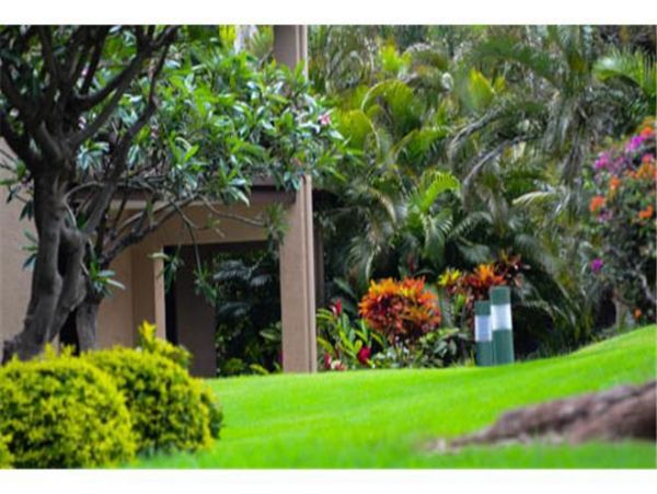 Kohala Coast Condo 975954
