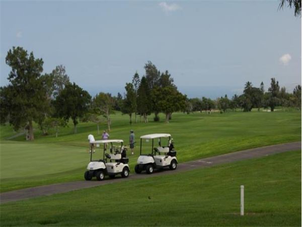 Kohala Coast Condo 975954