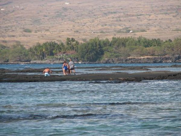 Kohala Coast Home 975971