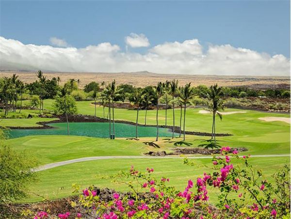 Kohala Coast Home 975982