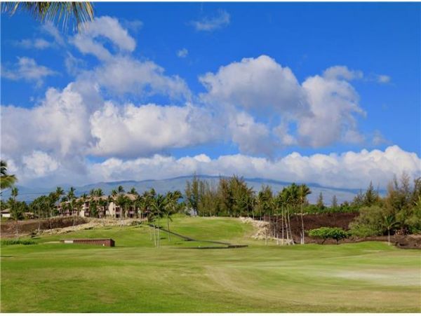 Kohala Coast Home 975986