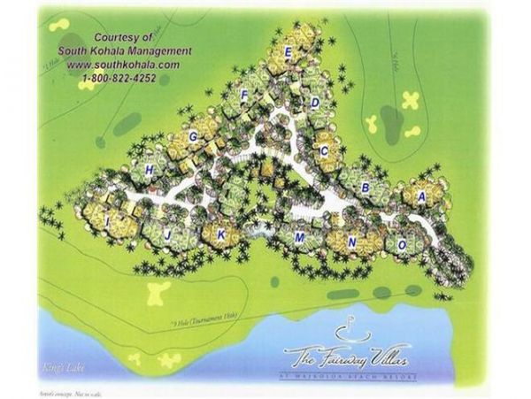 Kohala Coast Home 975986