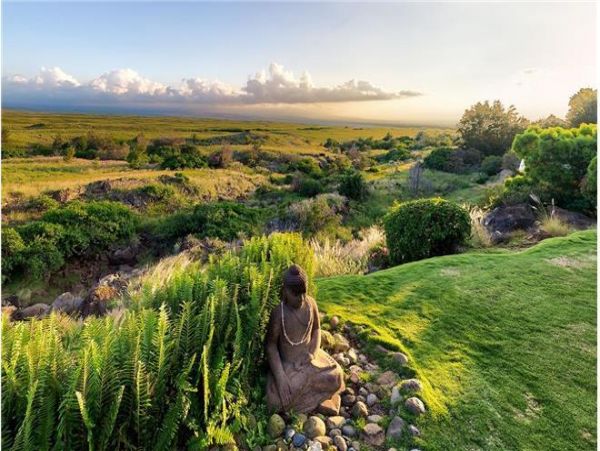 Kohala Coast Home 976002