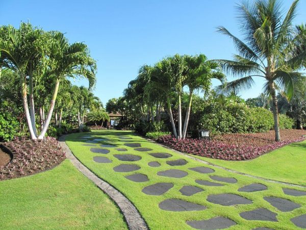 Kohala Coast Home 976003