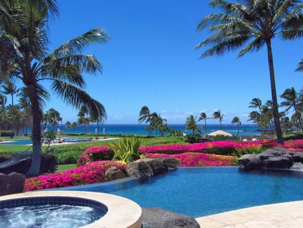 Kohala Coast Home 976003