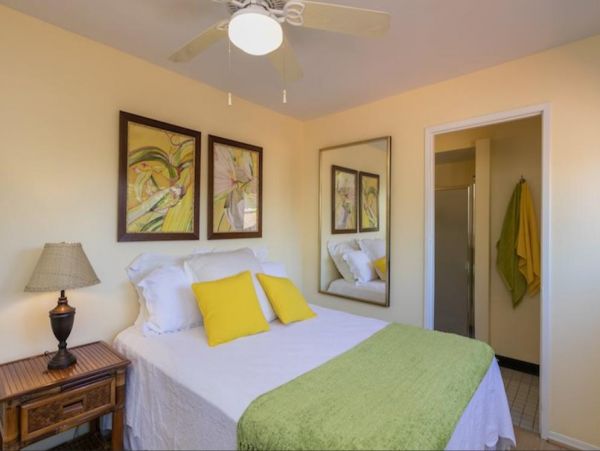 Kohala Coast Home 976004