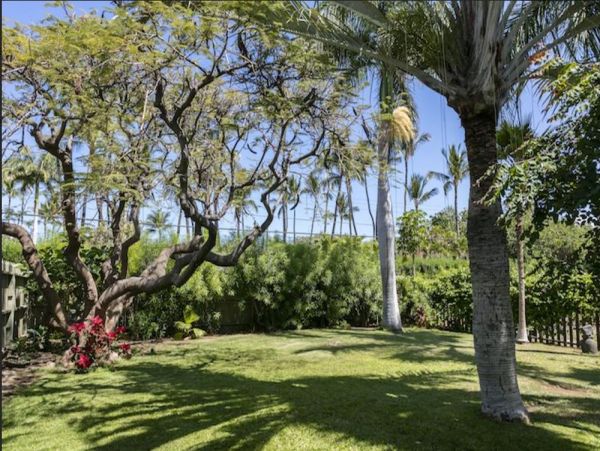 Kohala Coast Home 976004