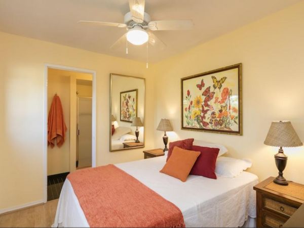 Kohala Coast Home 976004