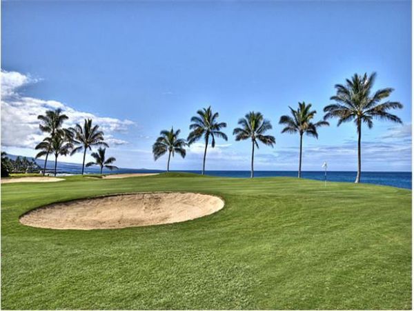 Kohala Coast Condo 976013