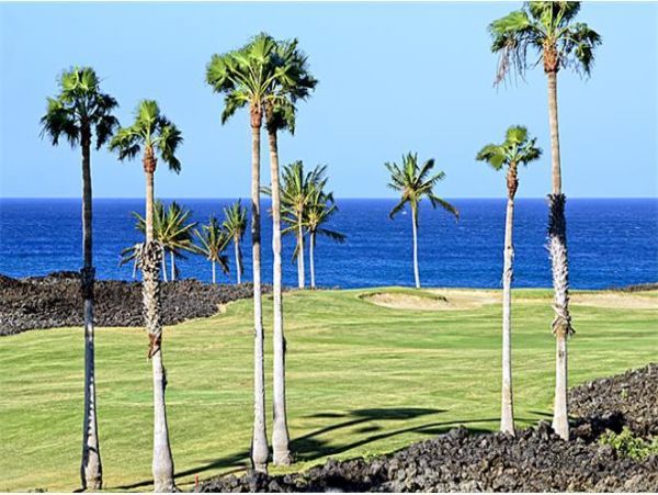 Kohala Coast Condo 976013