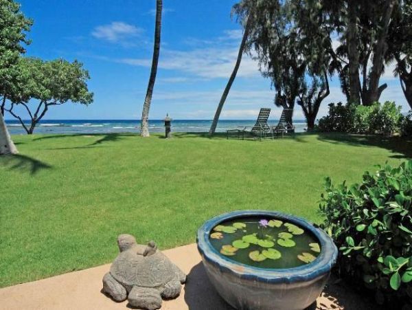 Kohala Coast Home 976015