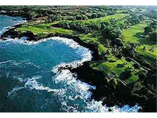 Kohala Coast Condo 976030