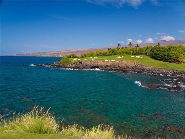 Kohala Coast Home 976036