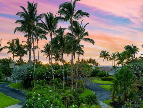 Kohala Coast Home 976039