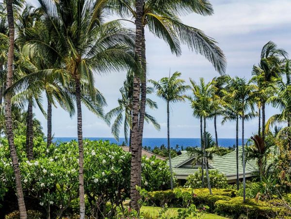 Kohala Coast Home 976039