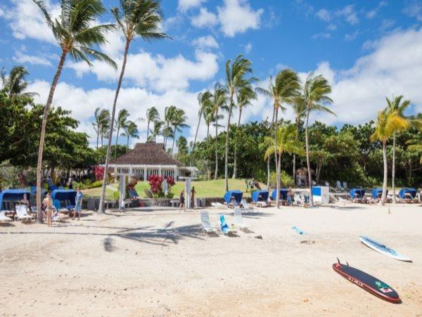 Kohala Coast Condo 976041