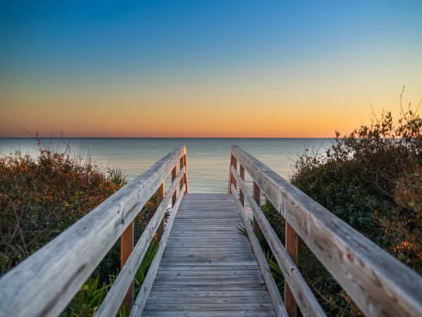 Luxury Oceanfront Home on Seagrove Beach Sleeps 18 Guests