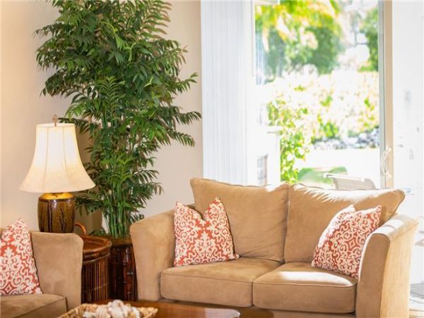 Kohala Coast Condo 976051