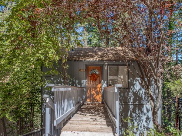 Big Bear Home 976054
