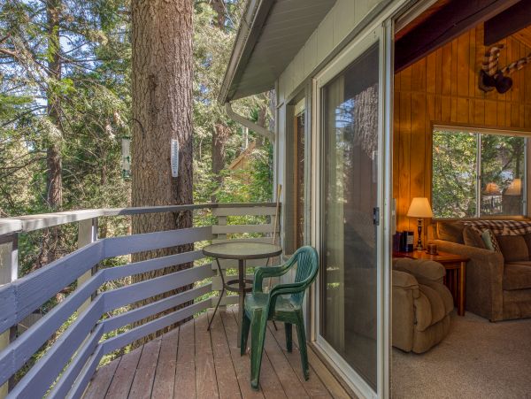 Big Bear Home 976054