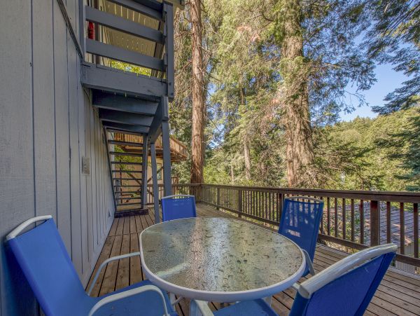 Big Bear Home 976054