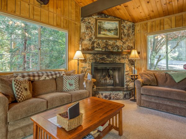 Big Bear Home 976054