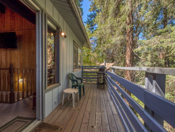 Big Bear Home 976054