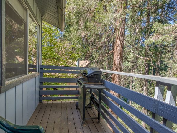 Big Bear Home 976054