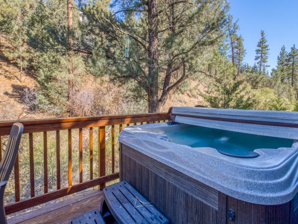 Big Bear Home 976055