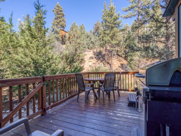 Big Bear Home 976055