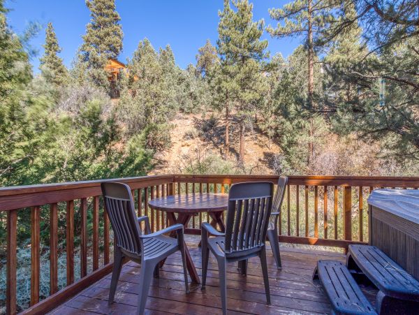 Big Bear Home 976055