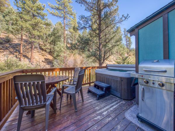 Big Bear Home 976055