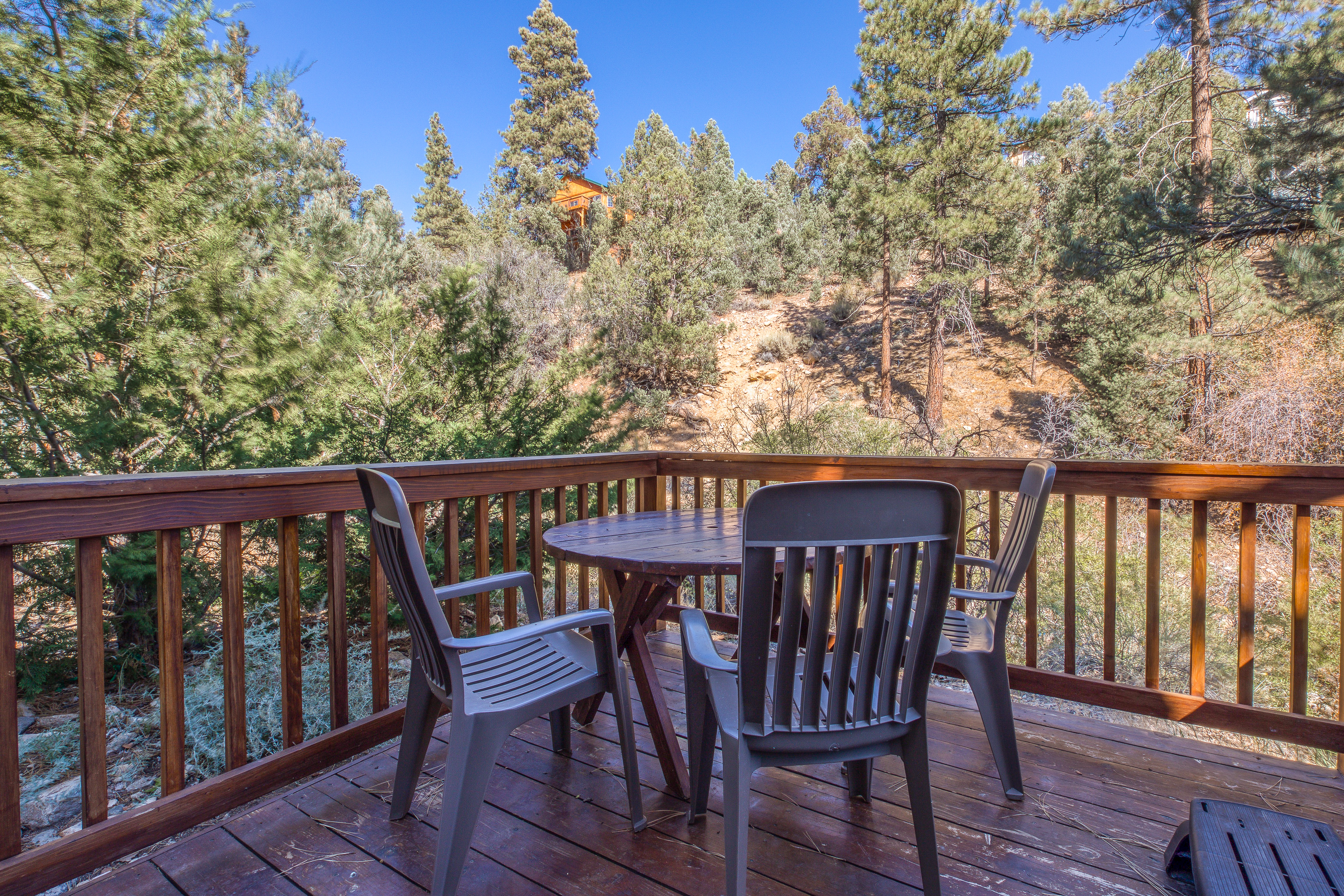 Big Bear Home 976055