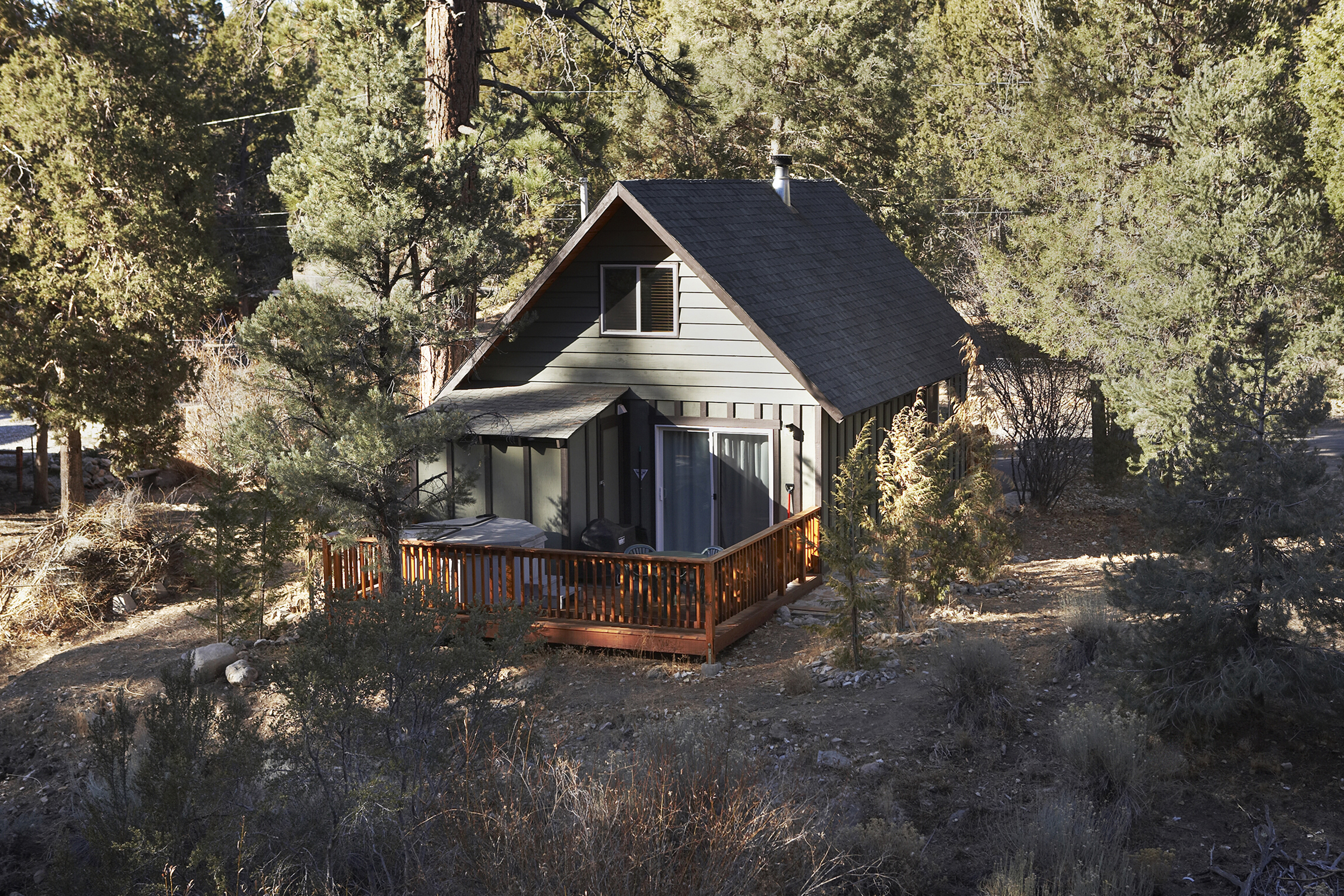 Big Bear Home 976055