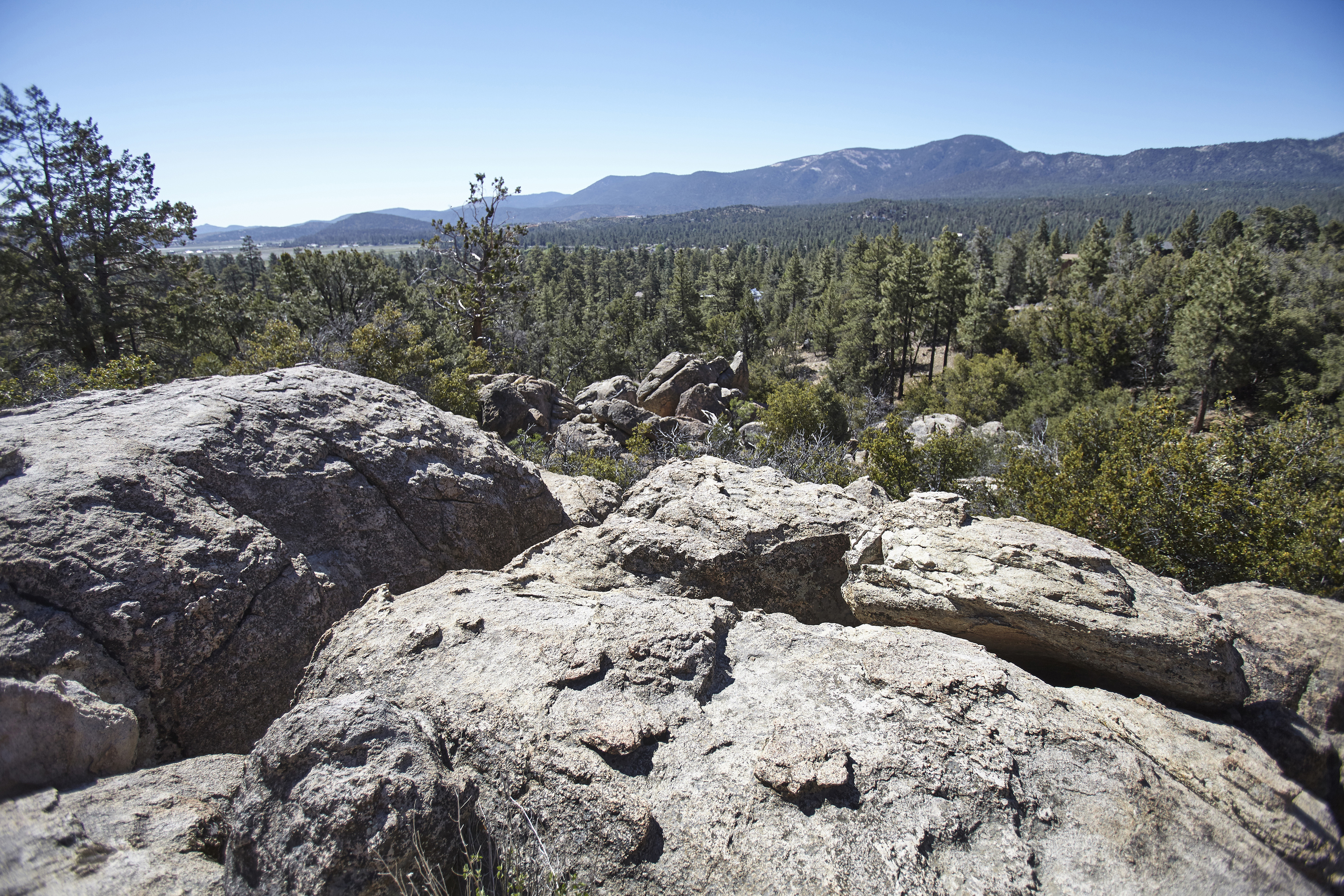Big Bear Home 976055
