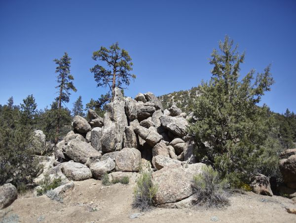 Big Bear Home 976055