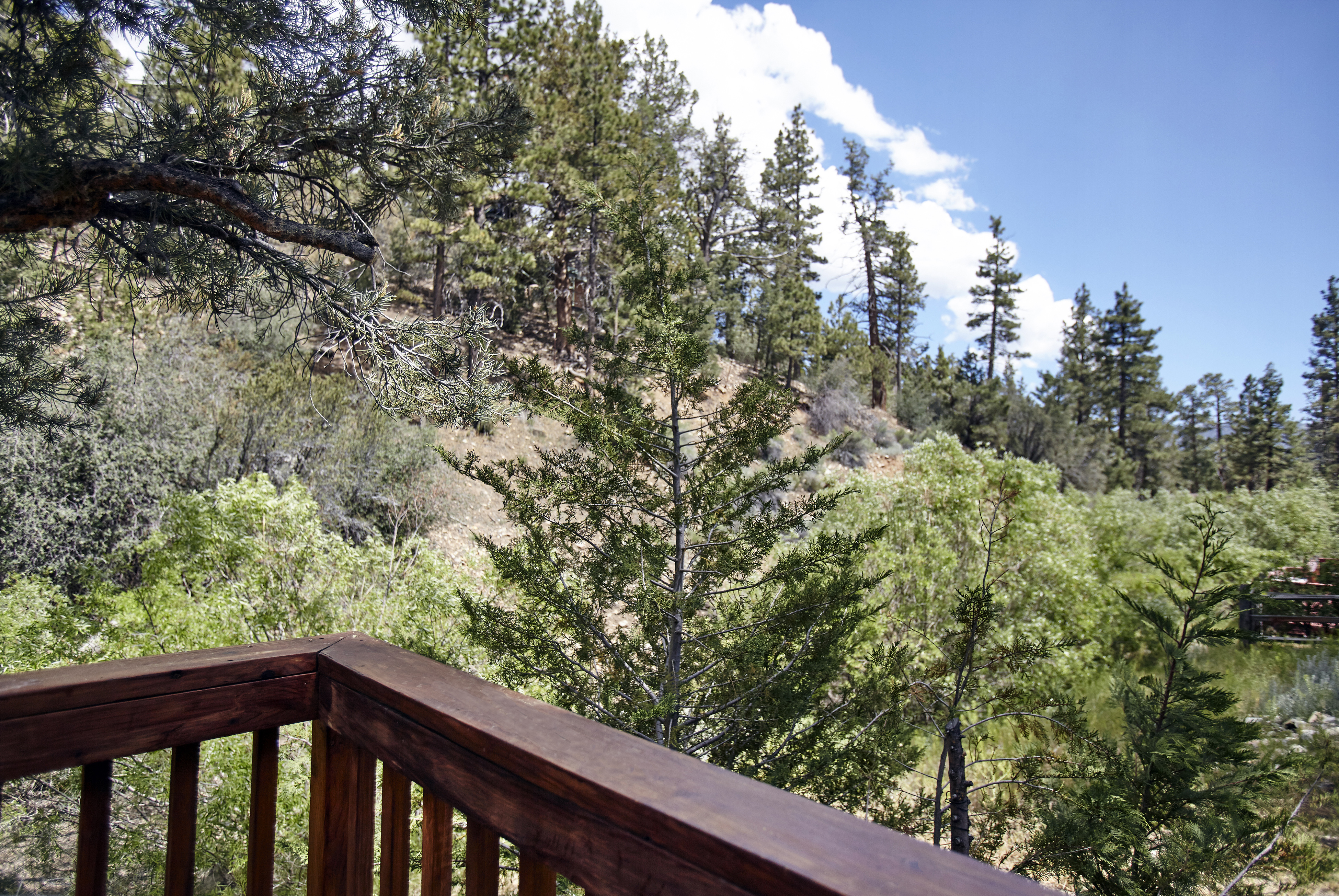 Big Bear Home 976055