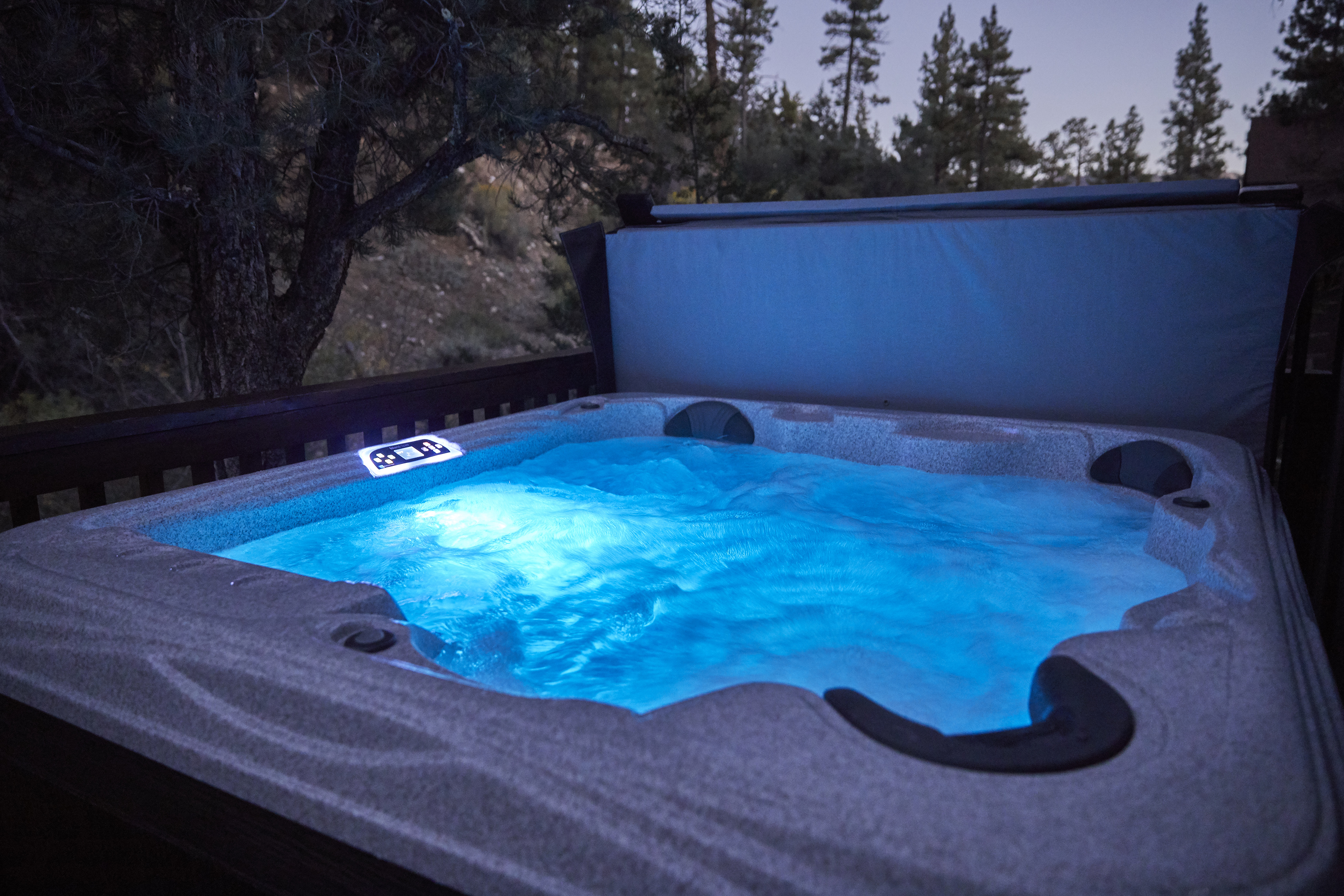 Big Bear Home 976055