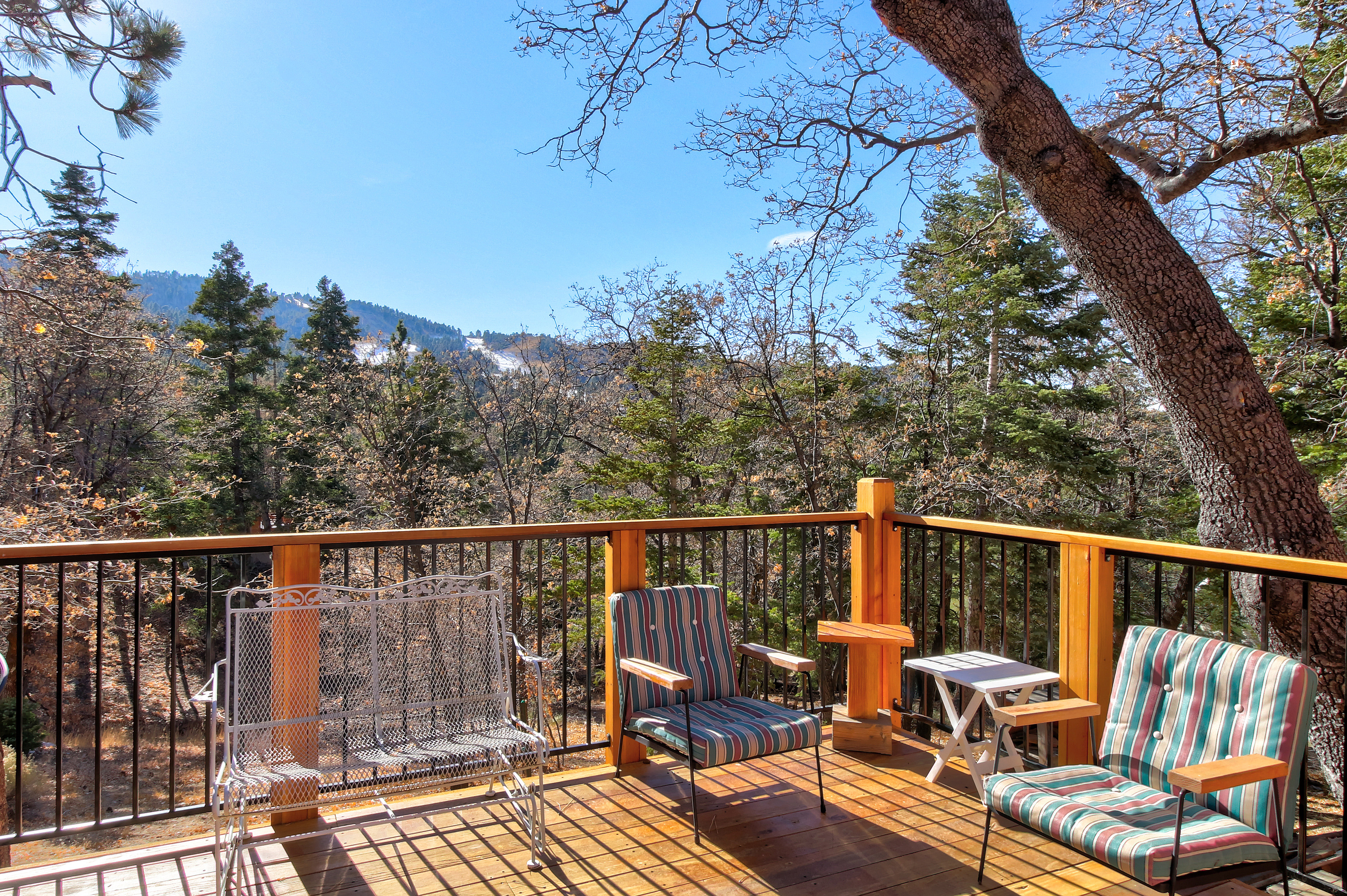 Big Bear Home 976056