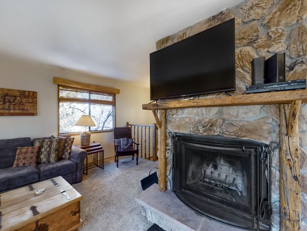Big Bear Home 976057