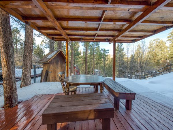 Big Bear Home 976058