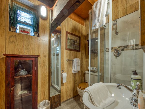 Big Bear Home 976058