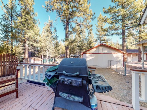 Big Bear Home 976060