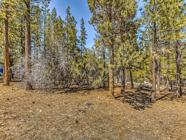 Big Bear Home 976062